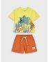 Conjunto Animais Savana