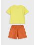 Conjunto Animais Savana