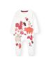 Babygrow veludo do bébé -