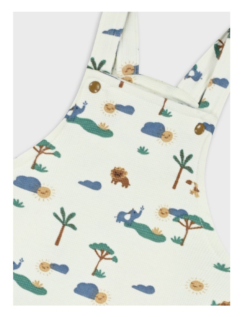 Conjunto Jardineira Anima
