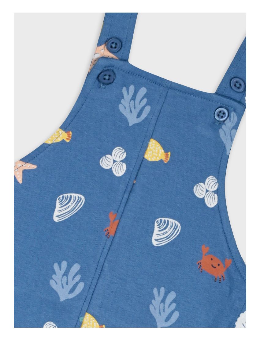 Conjunto Jardineira Fundo