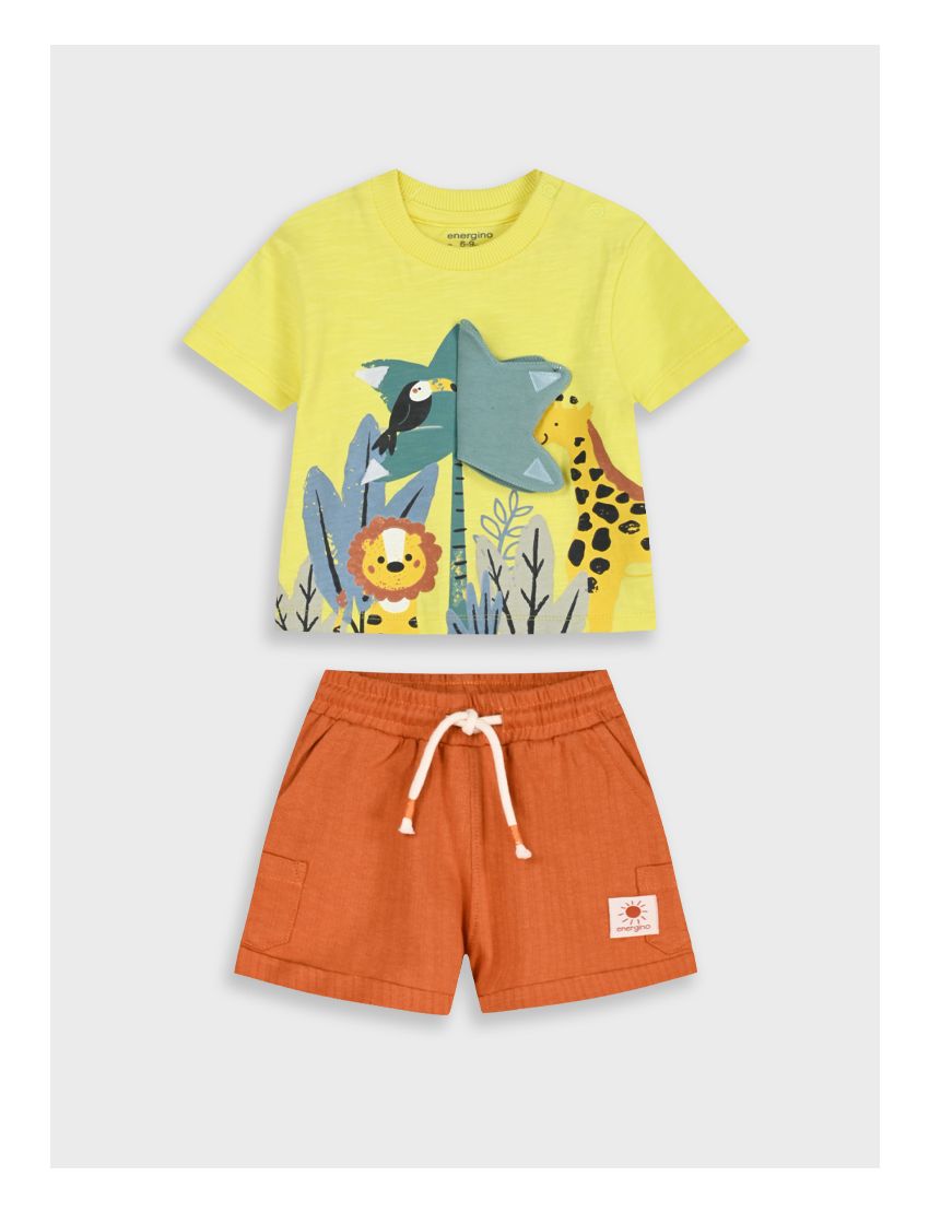 Conjunto Animais Savana