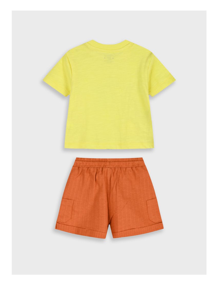 Conjunto Animais Savana