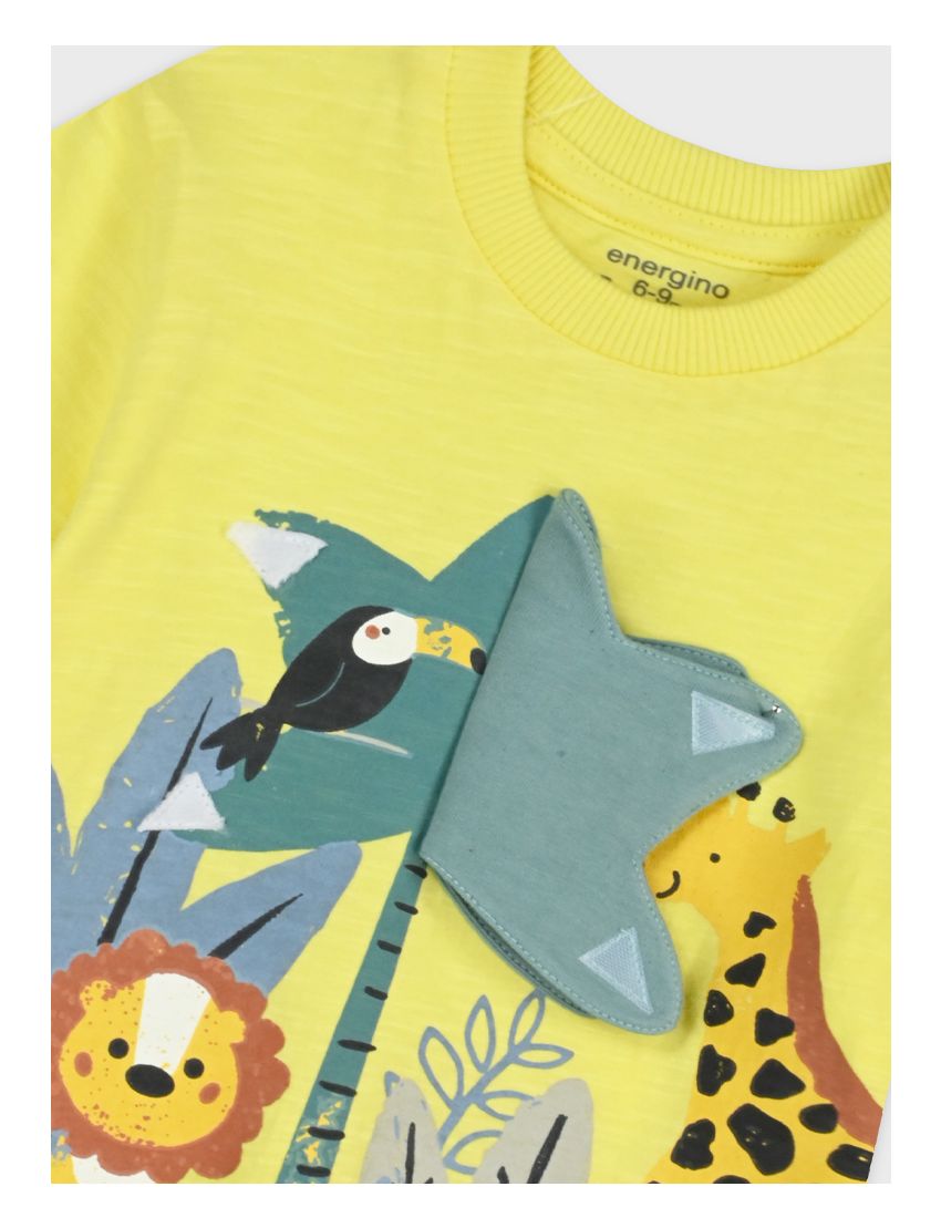 Conjunto Animais Savana