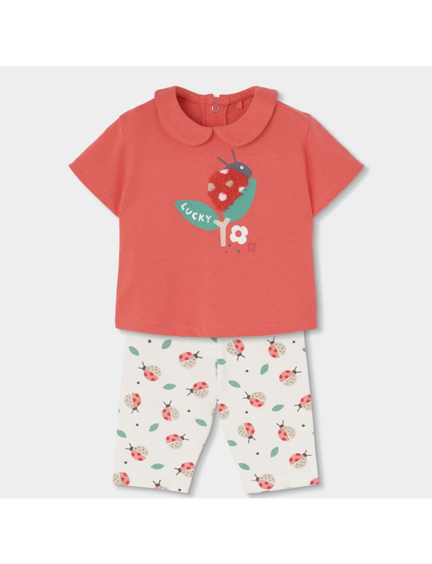 Conjunto Joaninhas