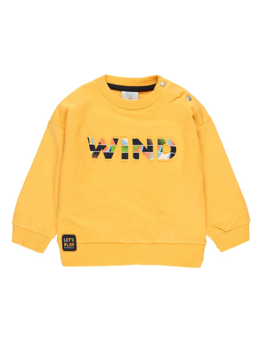 Sweatshirt Wind