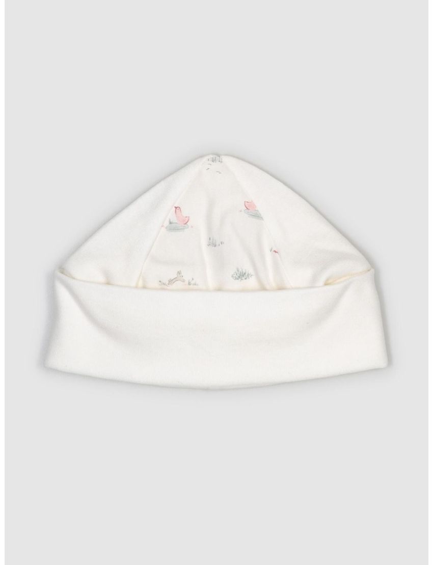 Gorro